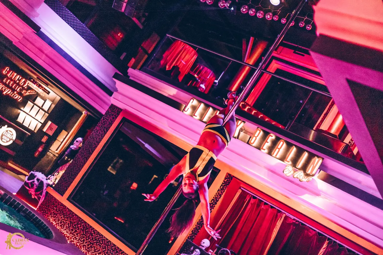 Professional Dancers - Image 19